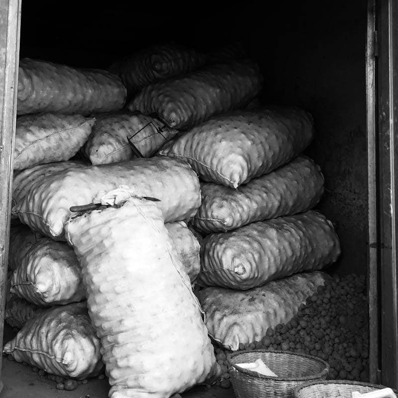 pexels-photo-27791127