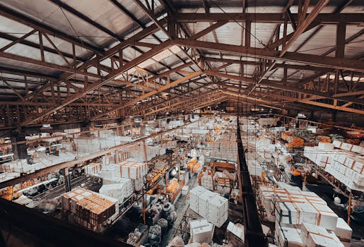 pexels-photo-32543353